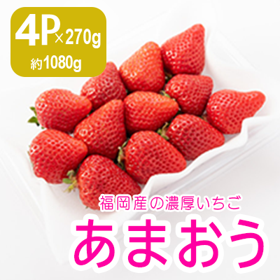 ふるさと納税サイト掲載用バナー