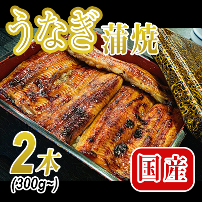 ふるさと納税サイト掲載用バナー